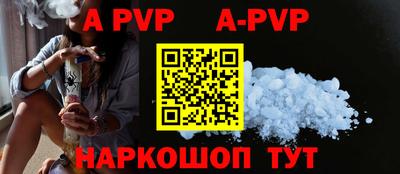гашик Новозыбков
