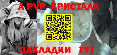 гашик Новозыбков